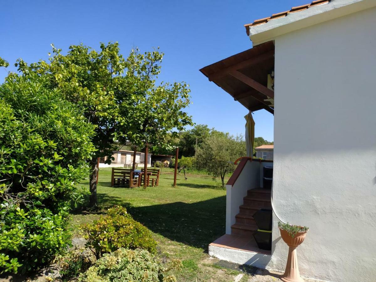 Villa Gladyr Lotzorai Exterior photo
